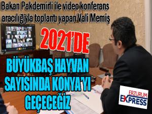 Vali Memiş: Türkiyedeki meraların yüzde 11ine sahibiz