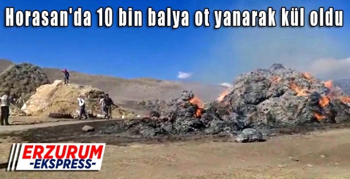 Horasan'da 10 bin balya ot yanarak kül oldu