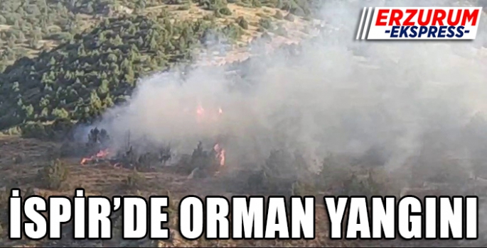  İspir'de orman yangını