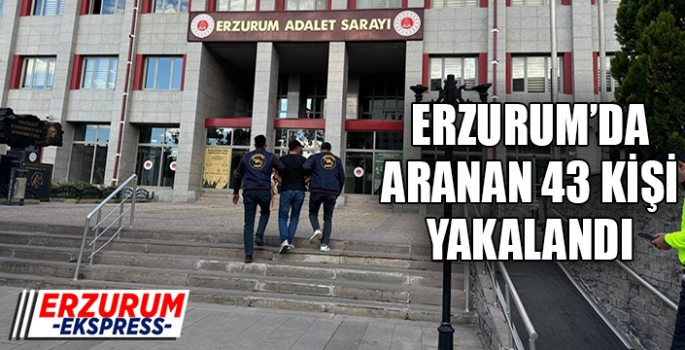 Jandarma Erzurum'da aranan 43 şahsı yakaladı