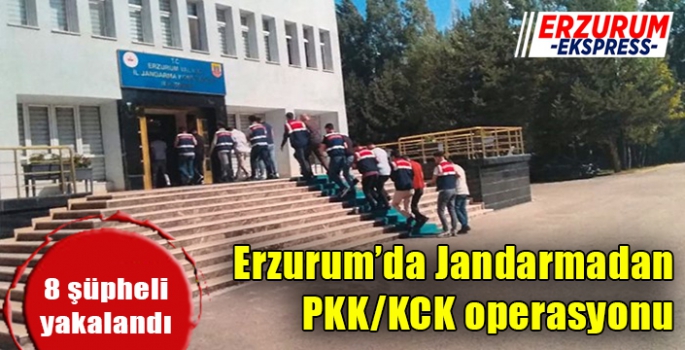 Jandarmadan PKK/KCK operasyonu