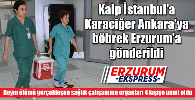 Kalp İstanbul'a, Karaciğer Ankara'ya, böbrek Erzurum'a gönderildi 