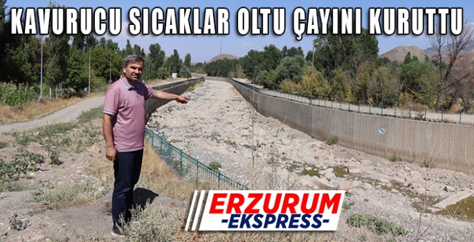 Kavurucu sıcaklar Oltu Çayı’nı kuruttu