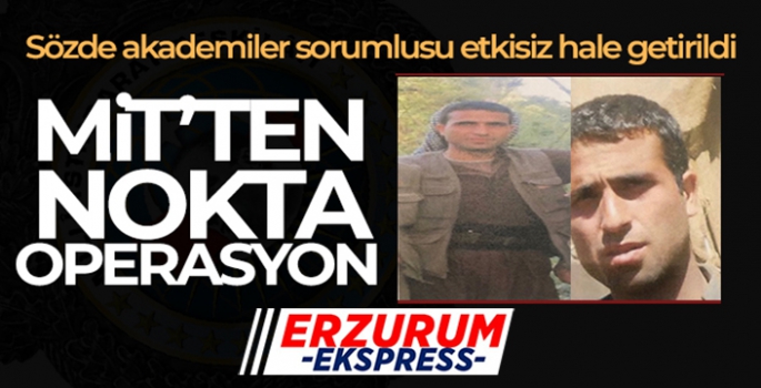 MİT'ten nokta operasyon!