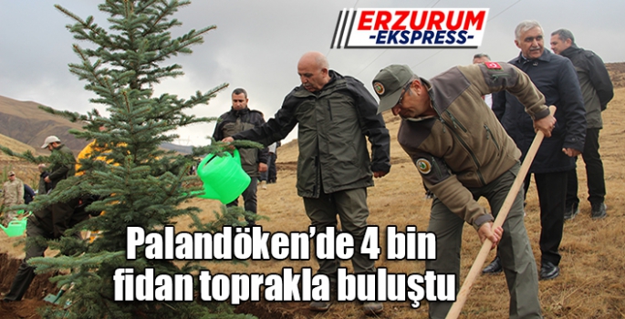  Palandöken’de 4 bin fidan toprakla buluştu