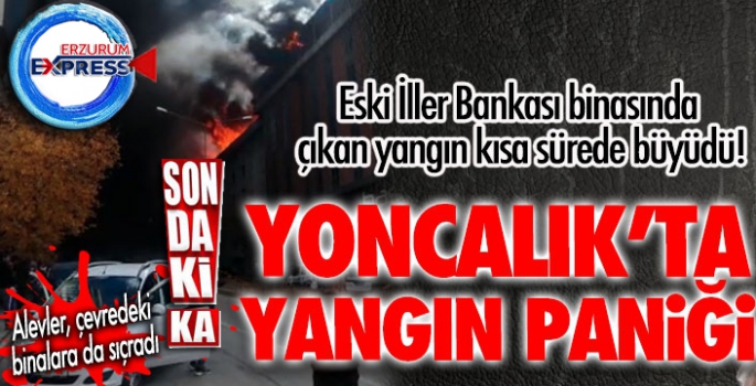 SON DAKİKA... YONCALIK'TA YANGIN PANİĞİ... ALEVLER HER YERİ SARDI!