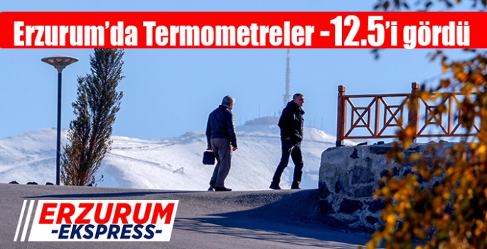 Termometreler -12.5’i gördü