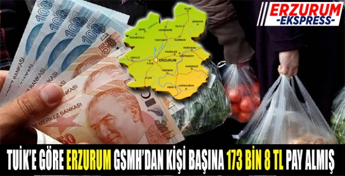 TUİK verilerine göre Erzurum, Gayrisafi Yurt İçi Hasıladan 129 milyon 734 bin 718 TL pay almış. 