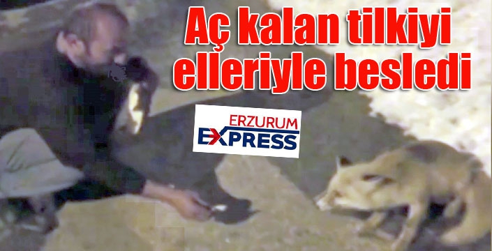 Aç kalan tilkiyi elleriyle besledi