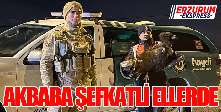 Akbabaya jandarma şefkati