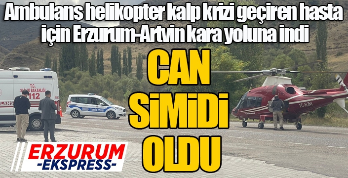 Ambulans helikopter kalp krizi geçiren hasta için Erzurum-Artvin kara yoluna indi