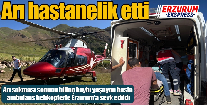 Arı hastanelik etti...