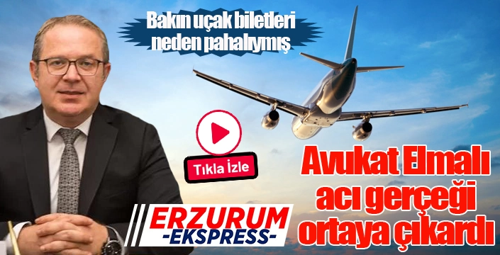 Avukat Elmalı sordu, acı gerçek ortaya çıktı!