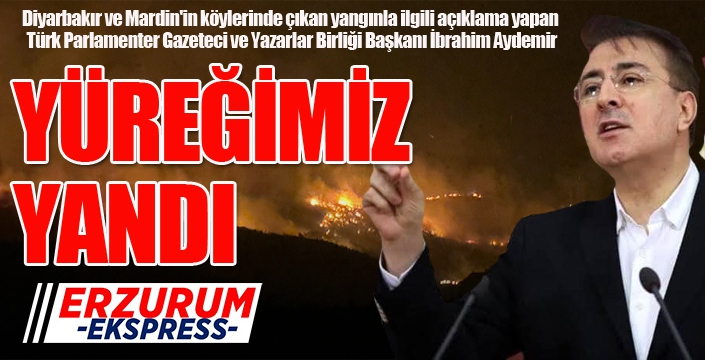 Aydemir: “Yüreğimiz yandı”