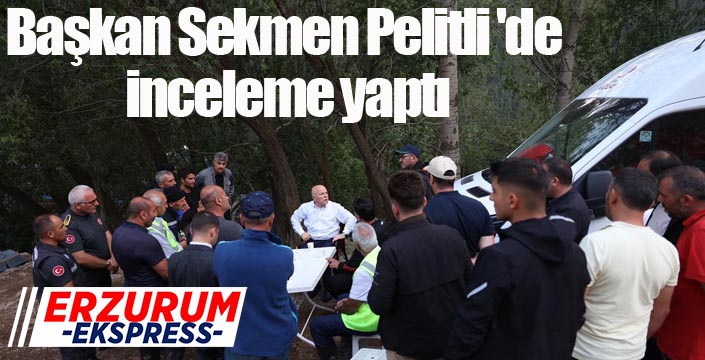 Başkan Sekmen Pelitli 'de inceleme yaptı