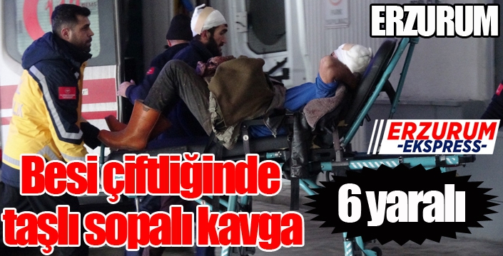 Besi çiftliğinde taşlı sopalı kavga: 6 yaralı