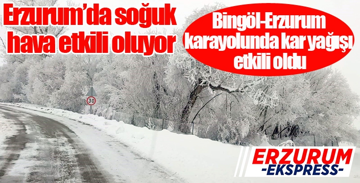 Bingöl-Erzurum karayolunda kar yağışı etkili oldu