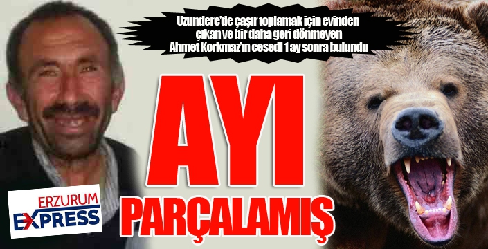 Bir aydır aranıyordu... Ayı parçalamış...