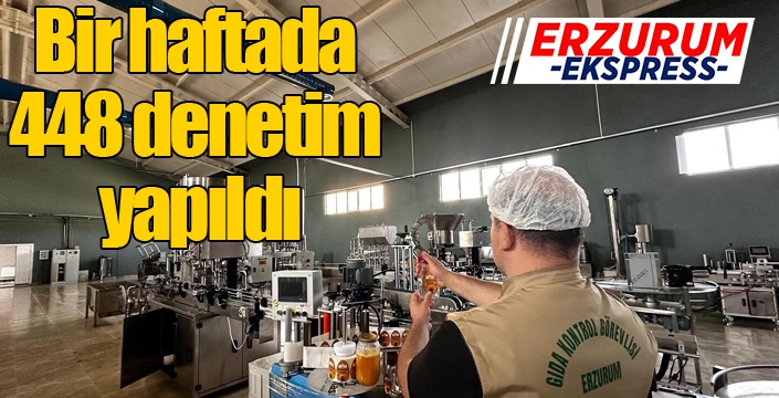 Bir haftada 448 denetim yapıldı