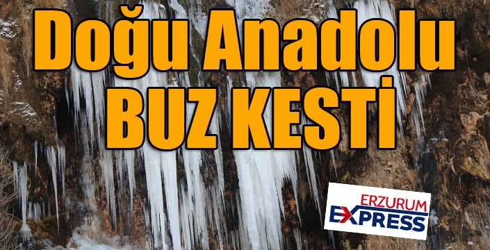 Doğu Anadolu buz kesti