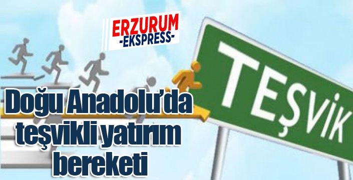 Doğu Anadolu’da teşvikli yatırım bereketi