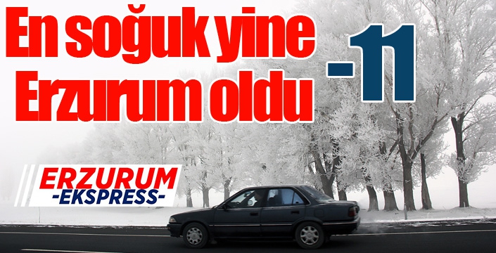 En soğuk yine Erzurum oldu...