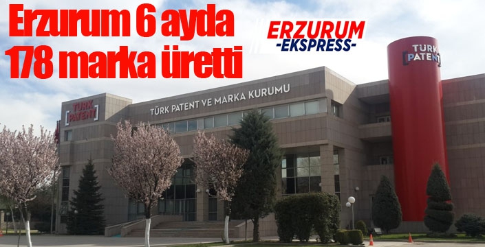 Erzurum 6 ayda 178 marka üretti