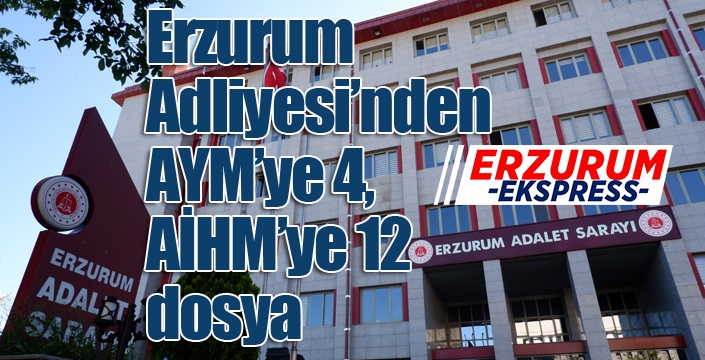 Erzurum Adliyesi’nden AYM’ye 4, AİHM’ye 12 dosya