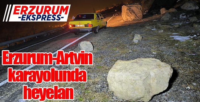 Erzurum-Artvin karayolunda heyelan