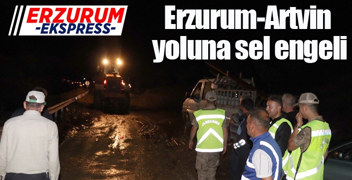 Erzurum-Artvin yoluna sel engeli