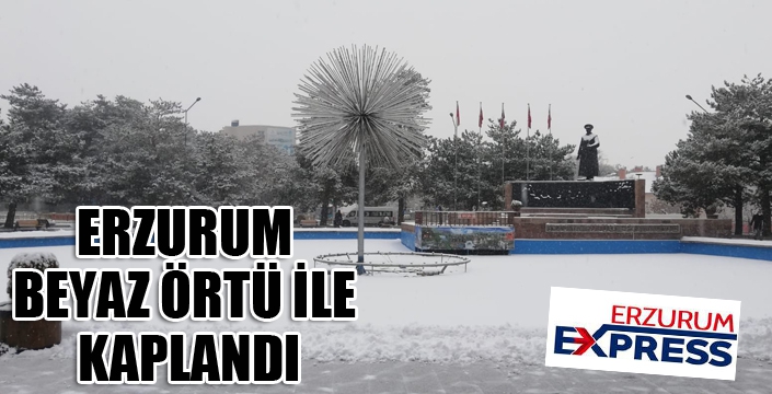 Erzurum beyaz örtü ile kaplandı