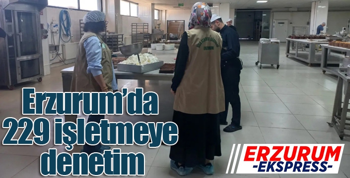 Erzurum’da 229 işletmeye denetim