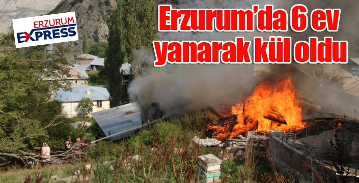 Erzurum’da 6 ev yanarak kül oldu