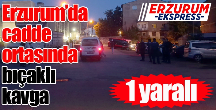 Erzurum’da cadde ortasında bıçaklı kavga: 1 yaralı