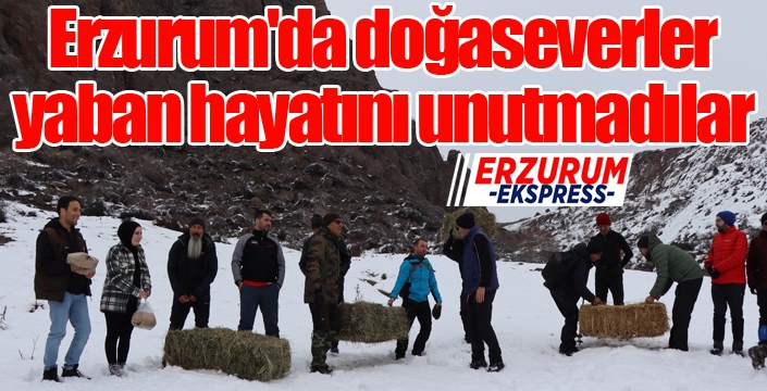 Erzurum'da doğaseverler yaban hayatını unutmadılar