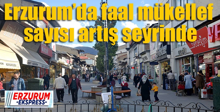 Erzurum’da faal mükellef sayısı artış seyrinde