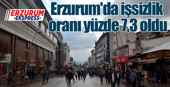 Erzurum'da işsizlik oranı yüzde 7,3 oldu