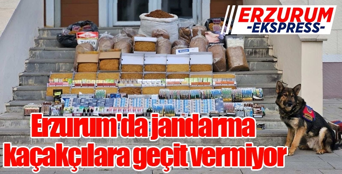 Erzurum'da jandarma kaçakçılara geçit vermiyor