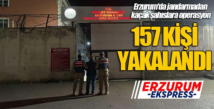 Erzurum'da jandarmadan kaçak şahıslara operasyon