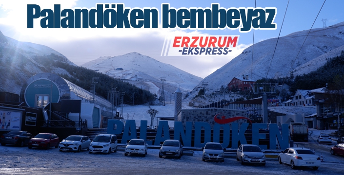 Erzurum'da kar sürprizi