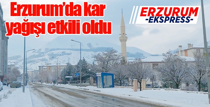 Erzurum’da kar yağışı etkili oldu