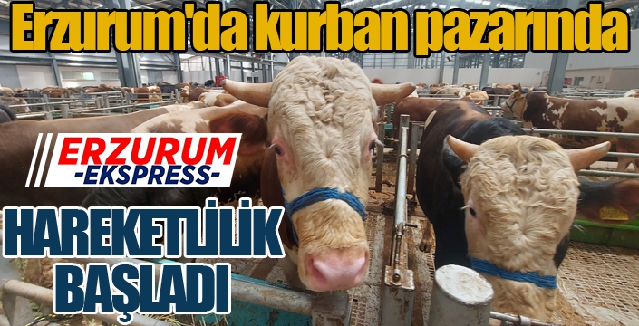 Erzurum'da kurban pazarında hareketlilik başladı