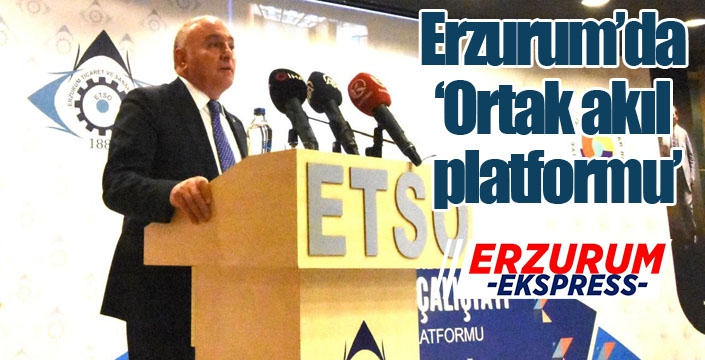 Erzurum’da ‘Ortak akıl platformu’