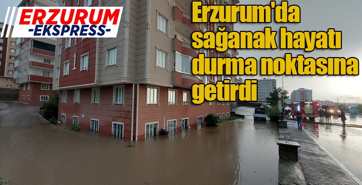 Erzurum'da sağanak hayatı durma noktasına getirdi