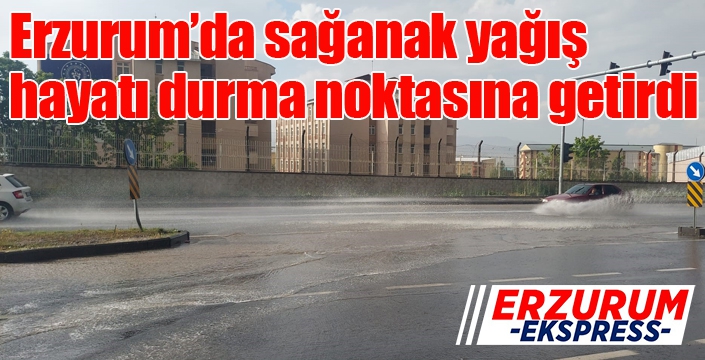 Erzurum’da sağanak yağış hayatı durma noktasına getirdi