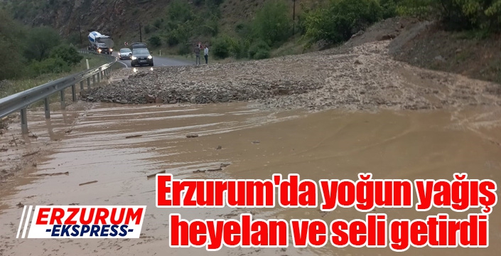 Erzurum'da yoğun yağış heyelan ve seli getirdi