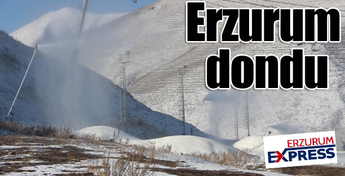 Erzurum dondu