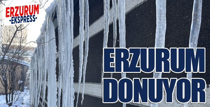 Erzurum donuyor...