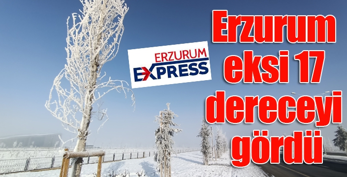 Erzurum eksi 17 dereceyi gördü