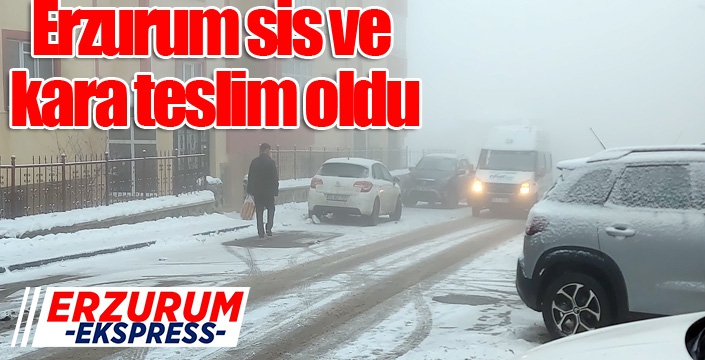 Erzurum sis ve kara teslim oldu